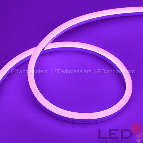 24V 65-ft 8x16mm IP65 Water-Resistant RGB Color-Changing Silicone Neon Strip Light | LEDwholesalers