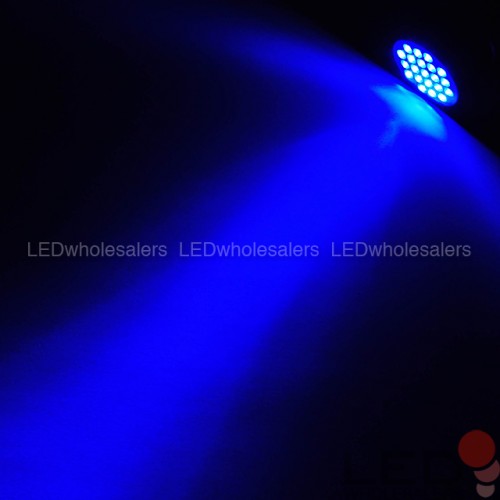 Blue Light 21-LED 455-460nm 3xAAA | LEDwholesalers