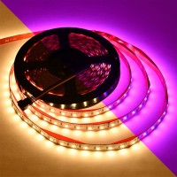 24V 240W High-CRI 32.8-ft RGBW Color-Changing + Warm-White Flexible LED Ribbon Strip Light with SMD1808RGB and SMD2835