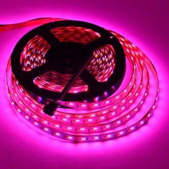 24V 240W High-CRI 32.8-ft RGBW Color-Changing + Warm-White Flexible LED Ribbon Strip Light with SMD1808RGB and SMD2835